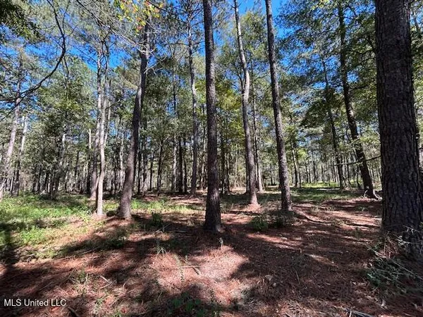 $58,989 | Country Lake Rd Summit, Summit, MS 39666