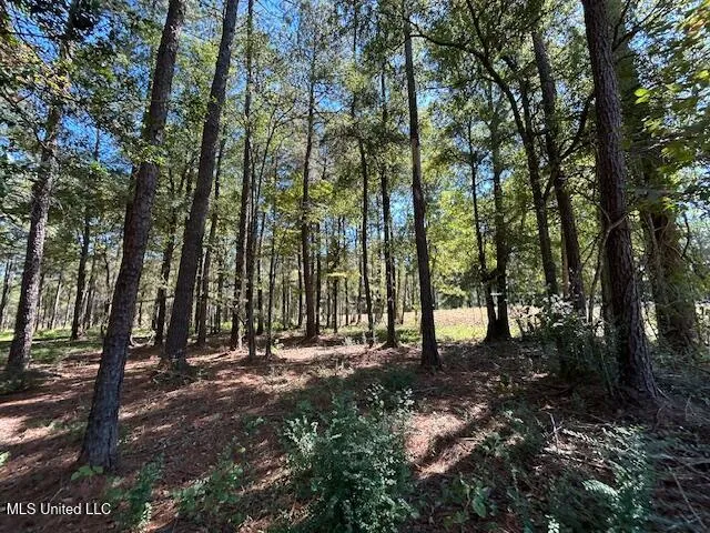 $74,200 | Country Lake Rd Summit, Summit, MS 39666