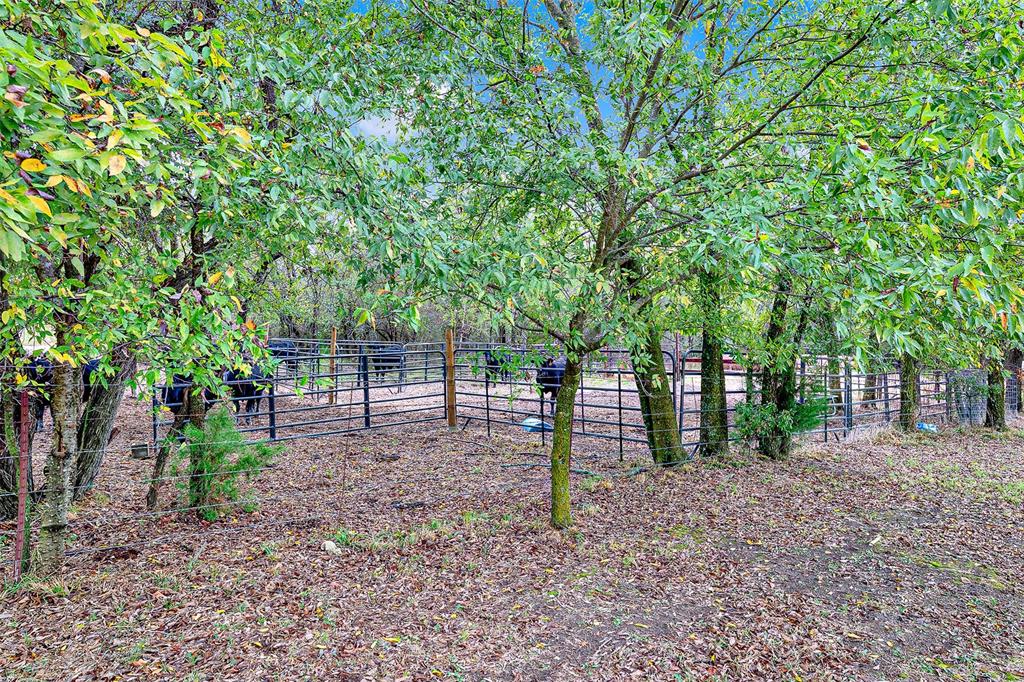 567 Poetry Road Royse City, TX 75189 - Photo 29 of 31 Pasture