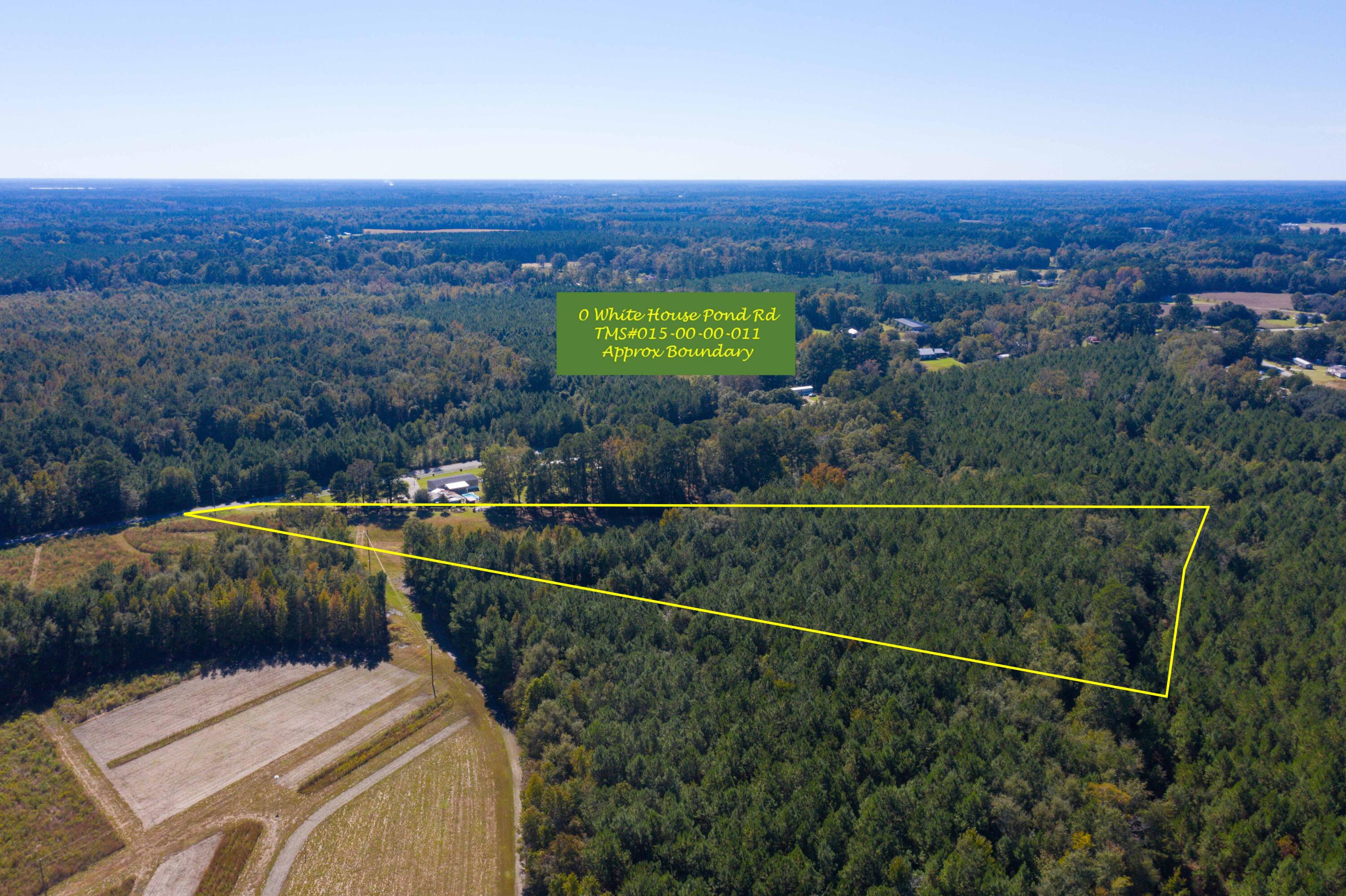 0 White House Pond Road Harleyville, SC 29448 - Photo 3 of 6 DJI_0454