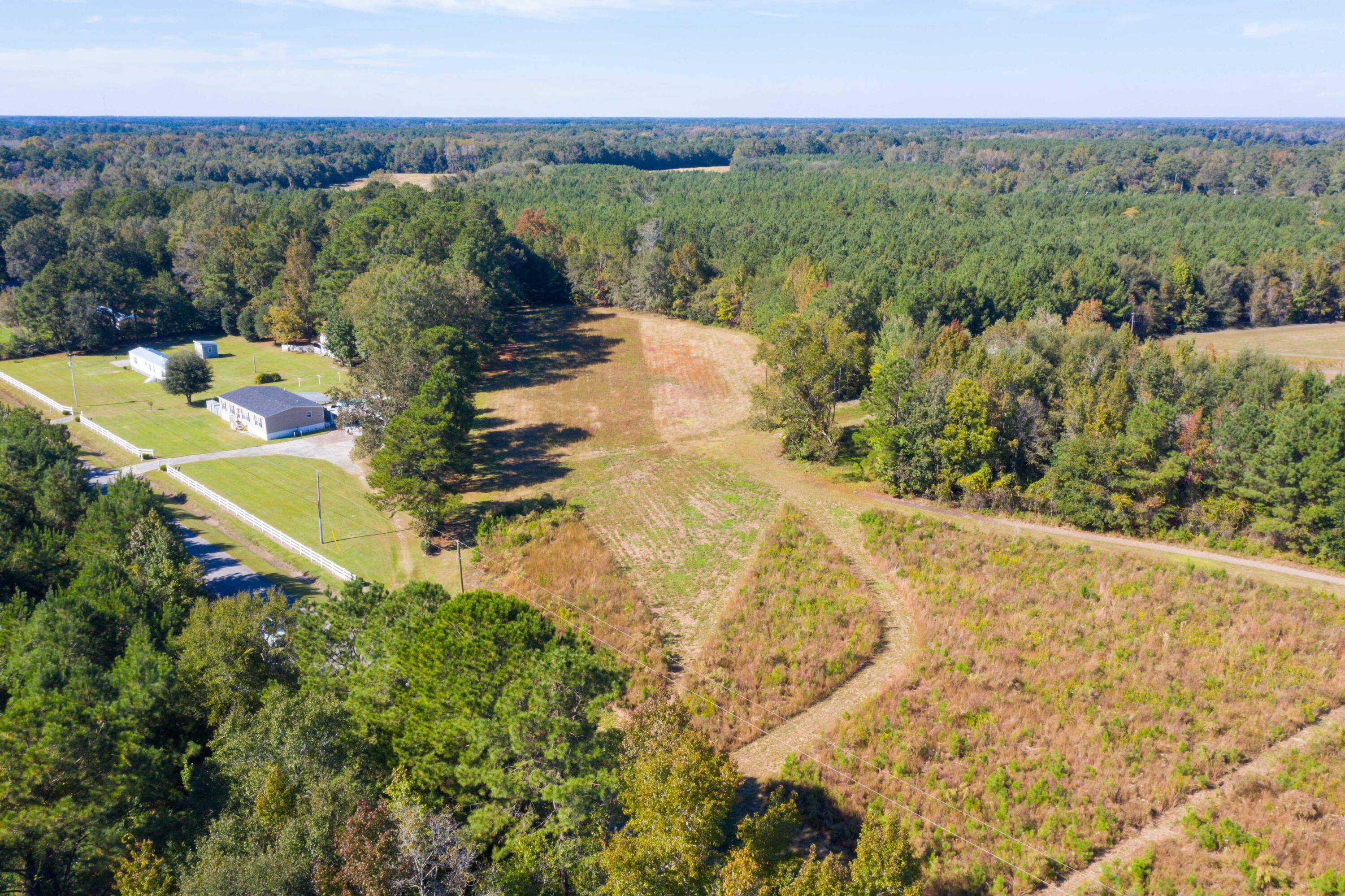 0 White House Pond Road Harleyville, SC 29448 - Photo 5 of 6 DJI_0460