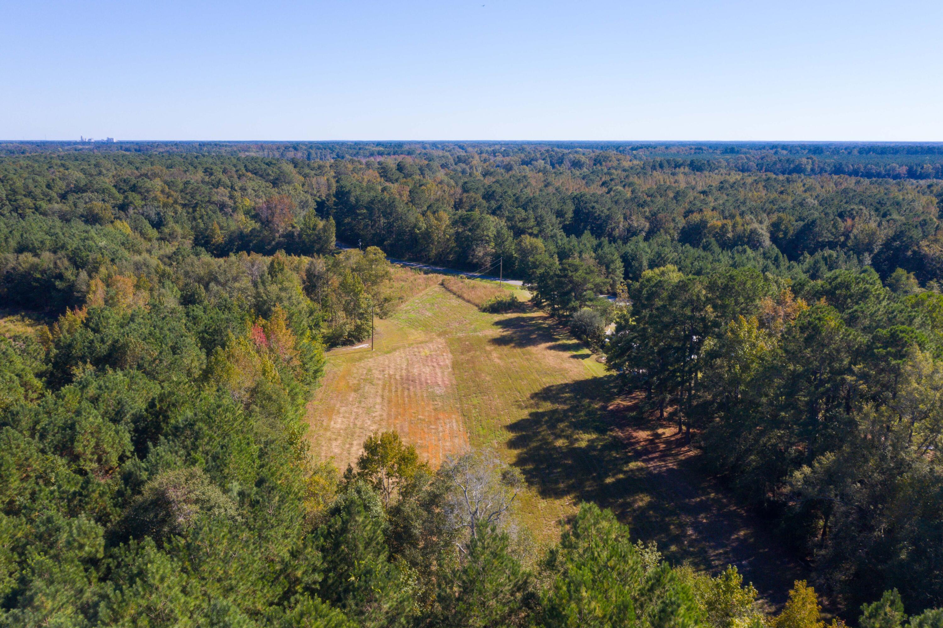 0 White House Pond Road Harleyville, SC 29448 - Photo 6 of 6 DJI_0463