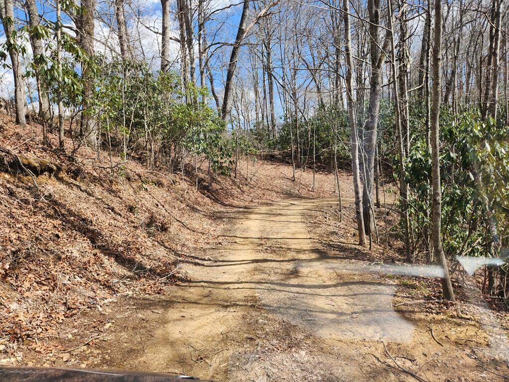 0 Camp Branch Road Topton, NC 28781 - Photo 9 of 41 Gallery Image 9
