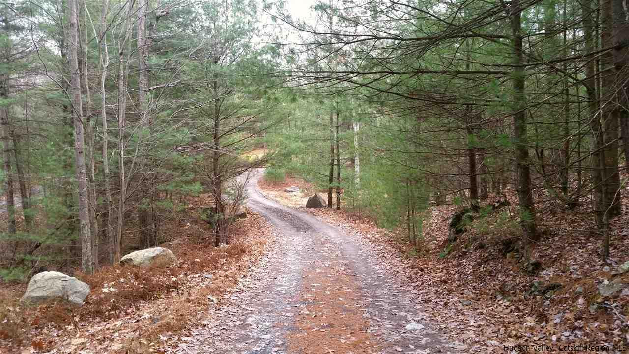 10 Bluestone Ridge Hurley, NY 12443 - Photo 4 of 35 Photo 4