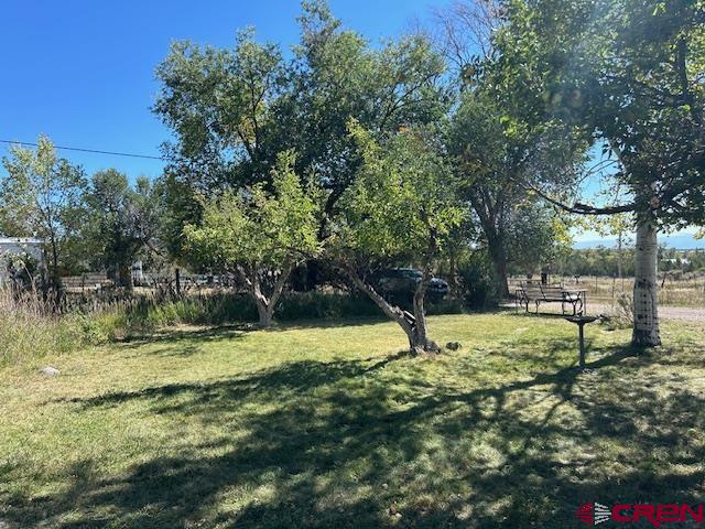 19881 2325th Road Cedaredge, CO 81413 - Photo 11 of 27