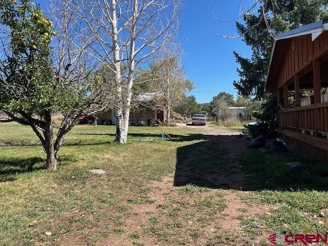 19881 2325th Road Cedaredge, CO 81413 - Photo 12 of 27