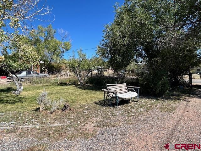 19881 2325th Road Cedaredge, CO 81413 - Photo 13 of 27