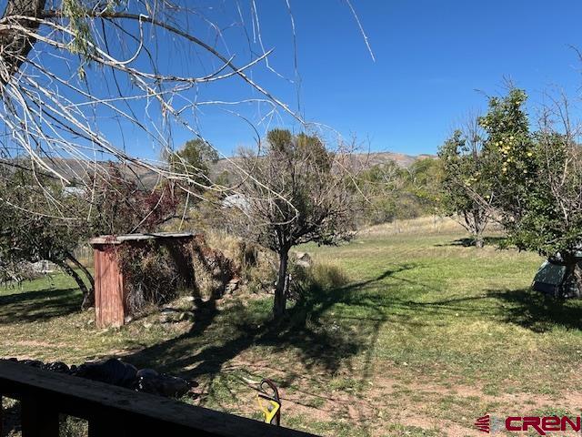19881 2325th Road Cedaredge, CO 81413 - Photo 16 of 27