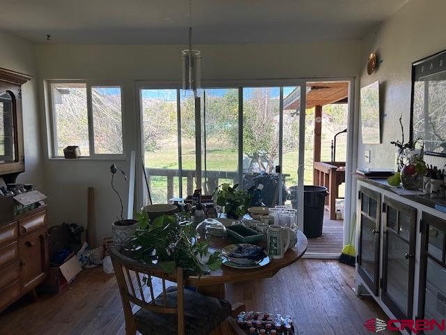 19881 2325th Road Cedaredge, CO 81413 - Photo 20 of 27
