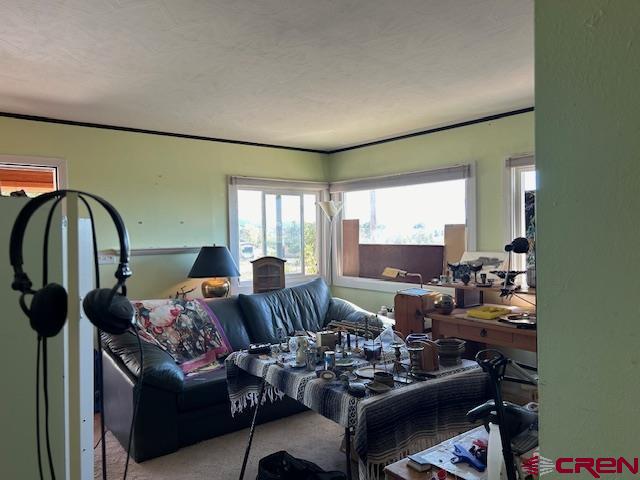 19881 2325th Road Cedaredge, CO 81413 - Photo 22 of 27