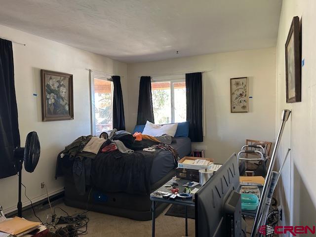 19881 2325th Road Cedaredge, CO 81413 - Photo 23 of 27