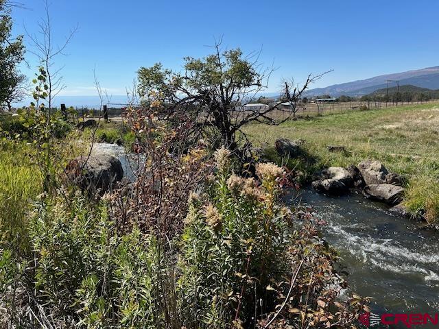 19881 2325th Road Cedaredge, CO 81413 - Photo 4 of 27