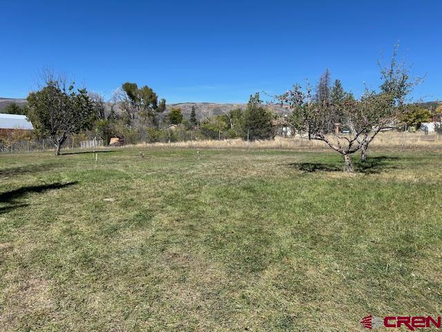 19881 2325th Road Cedaredge, CO 81413 - Photo 5 of 27