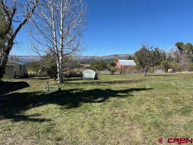 19881 2325th Road Cedaredge, CO 81413 - Photo 6 of 27