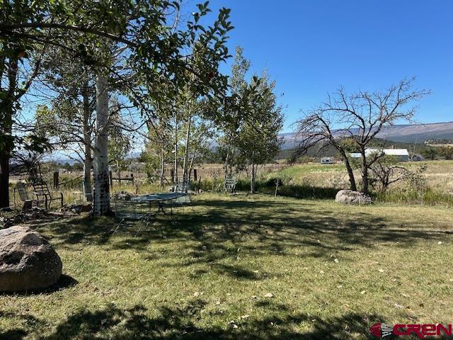 19881 2325th Road Cedaredge, CO 81413 - Photo 7 of 27
