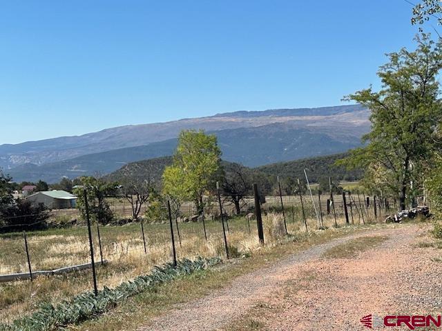 19881 2325th Road Cedaredge, CO 81413 - Photo 10 of 27