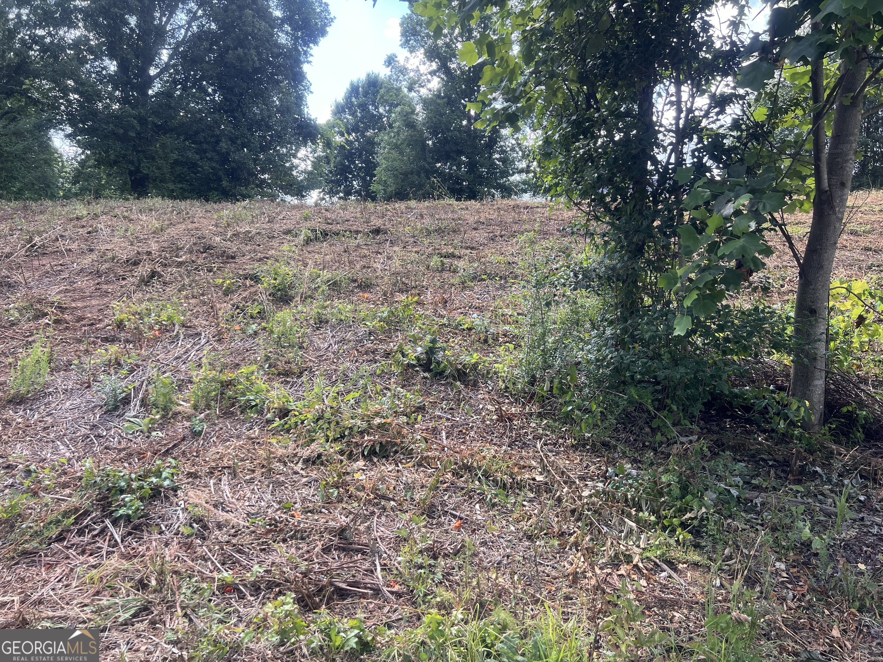 373 Stonington Drive Mount Airy, GA 30563 - Photo 3 of 3 Grading as of 7/6/26