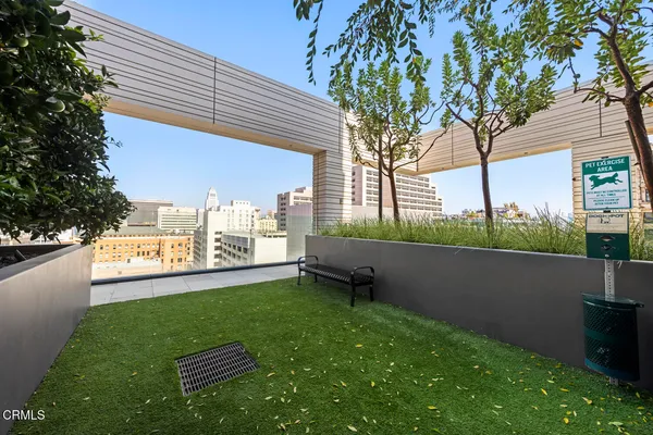a view of a yard