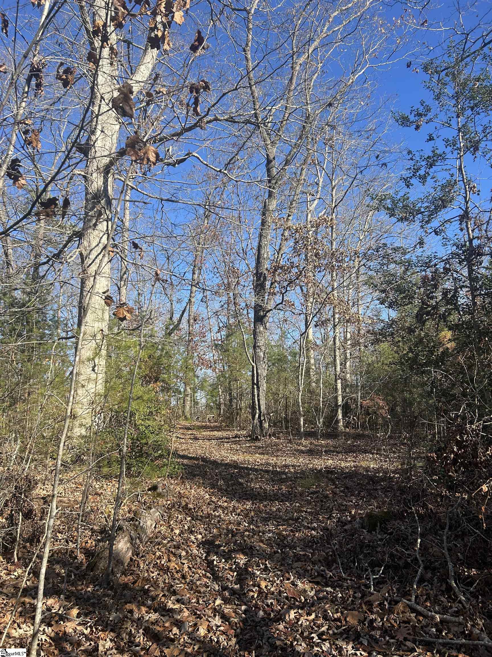 609 North Fishtrap Road Easley, SC 29640 - Photo 5 of 5