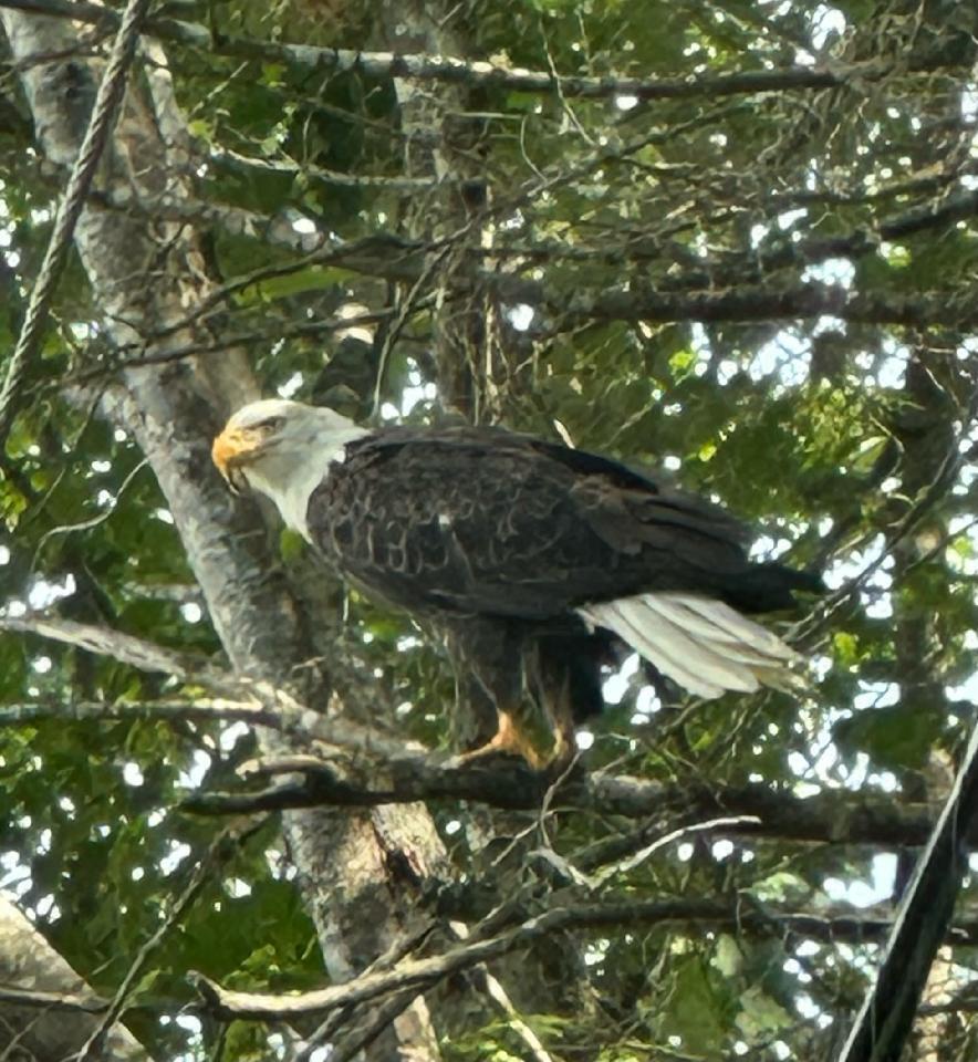 Undisclosed Address Oxford, ME 04270 - Photo 39 of 58 145833