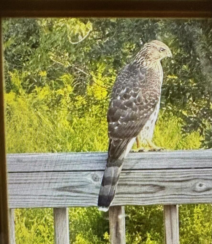 Undisclosed Address Oxford, ME 04270 - Photo 41 of 58 145838