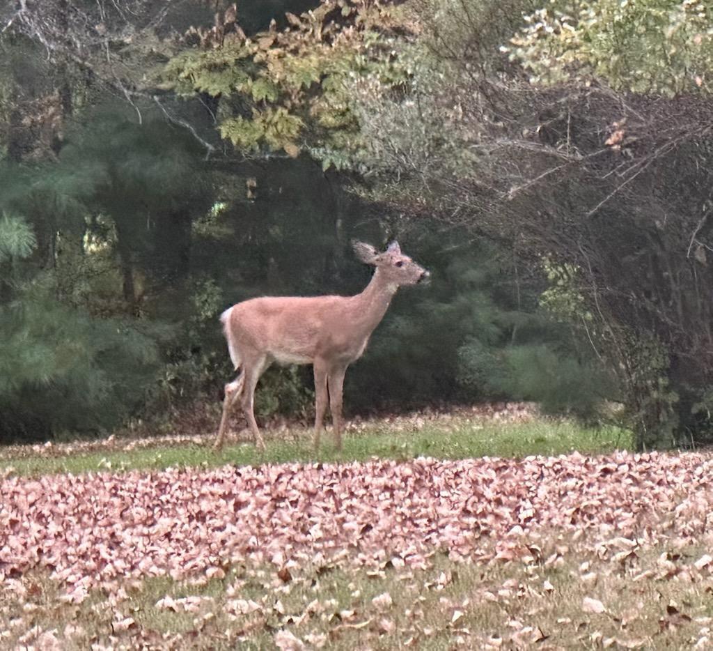 Undisclosed Address Oxford, ME 04270 - Photo 42 of 58 147235