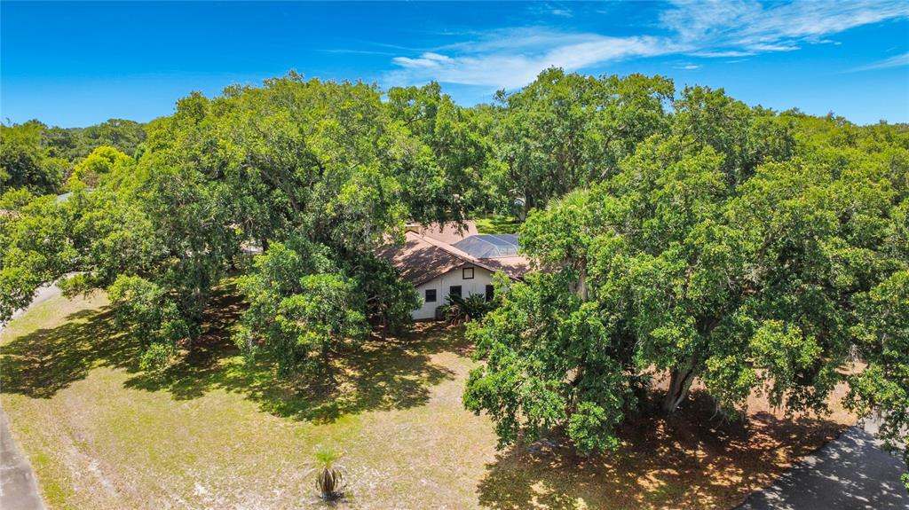 420 Nina Road Northeast Palm Bay, FL 32907 - Photo 83 of 90