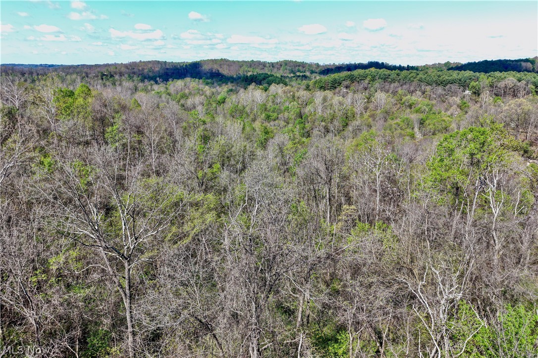 0 Harrons Ridge Road Dexter City, OH 45727 - Photo 19 of 29