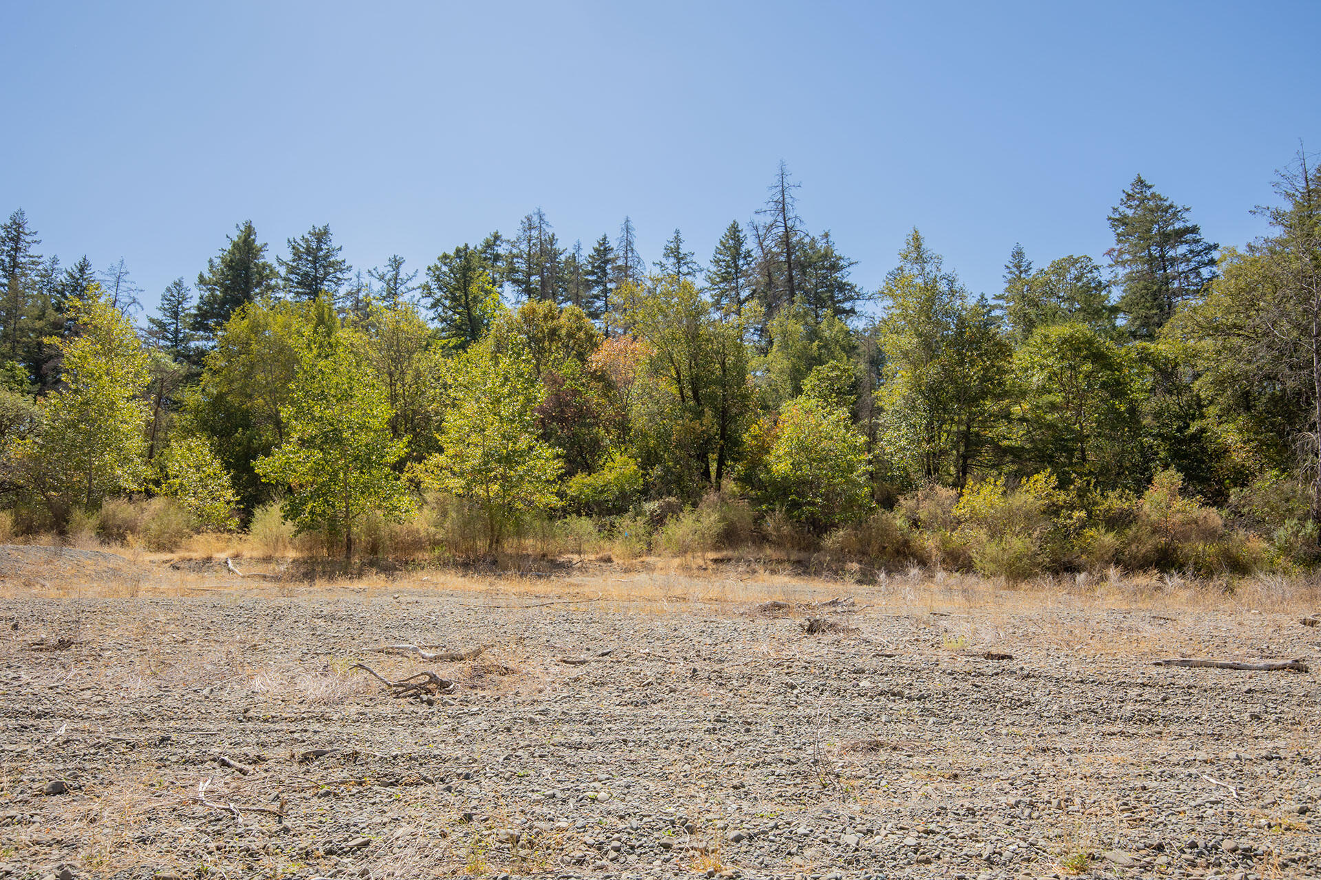 0 Bear Canyon Road Garberville, CA 95542 - Photo 76 of 107 SW__9679