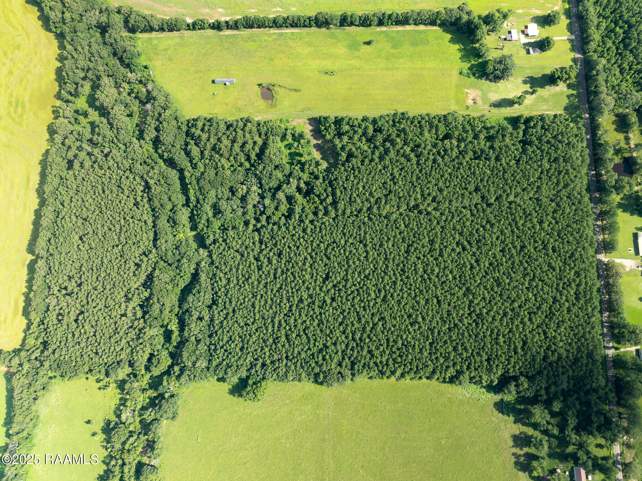 Tbd Jolene Road Basile, LA 70515 - Photo 11 of 28 DJI_0331