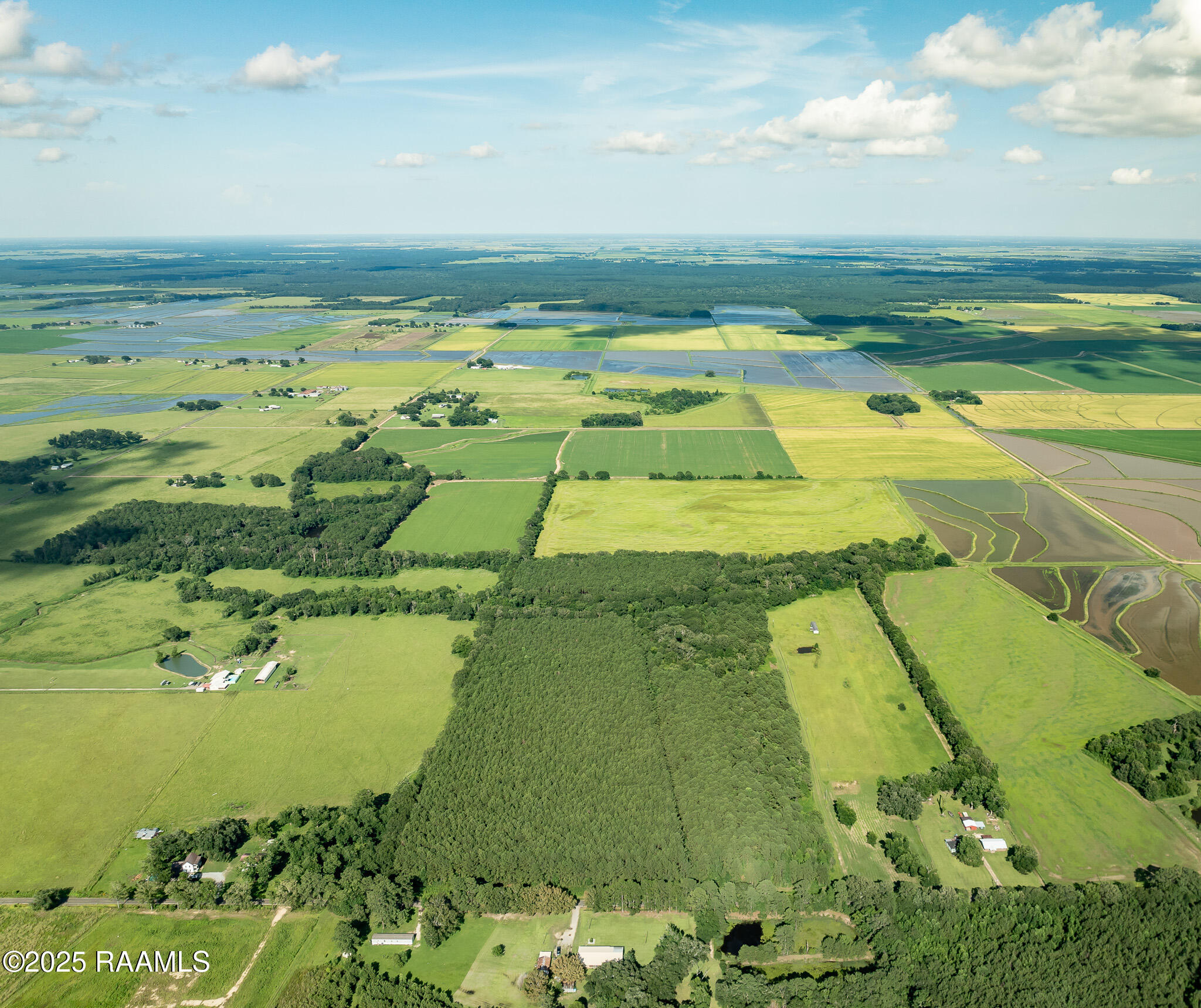 Tbd Jolene Road Basile, LA 70515 - Photo 15 of 28 DJI_0335