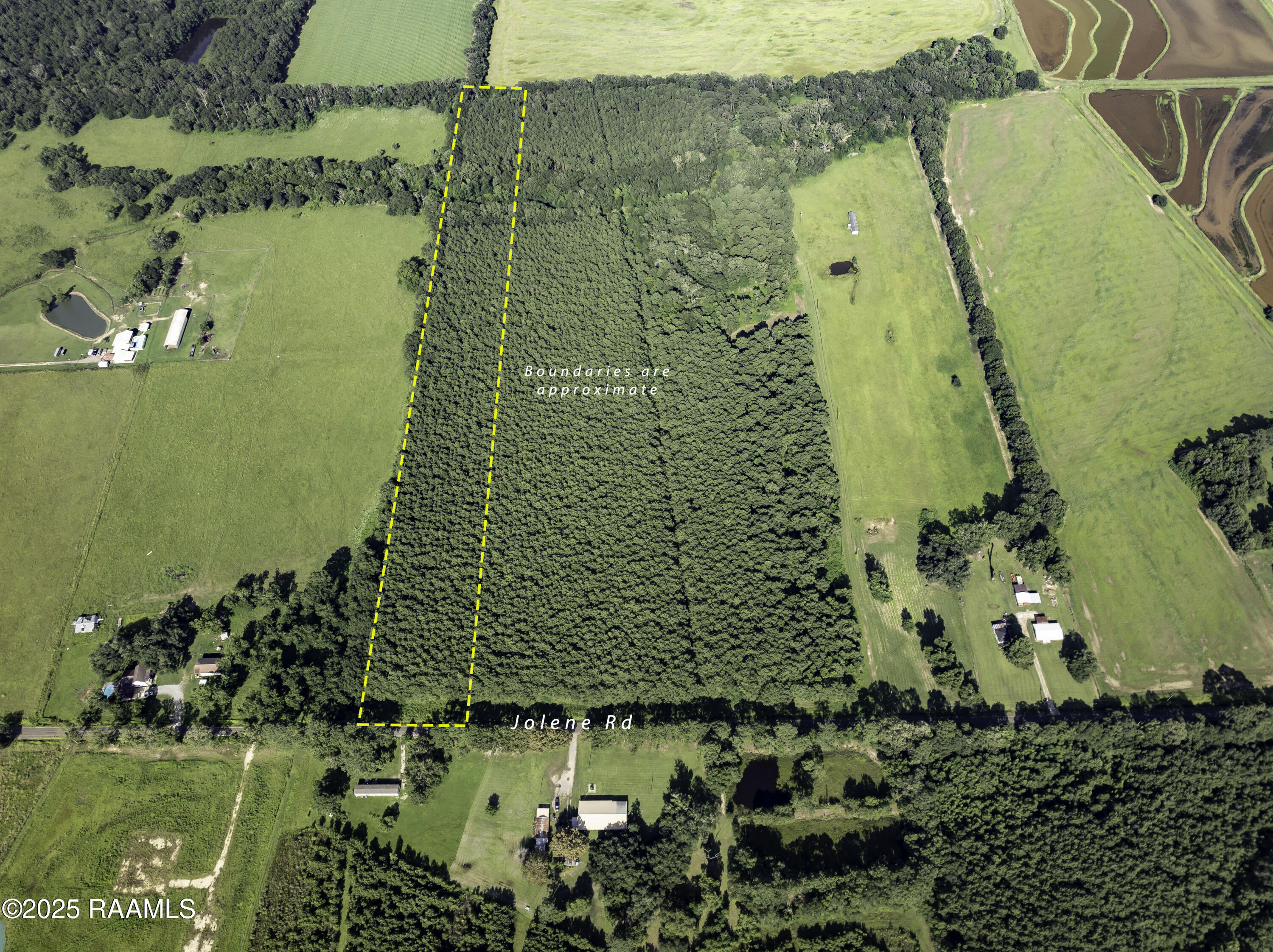 Tbd Jolene Road Basile, LA 70515 - Photo 19 of 28 DJI_0336-Edit copy