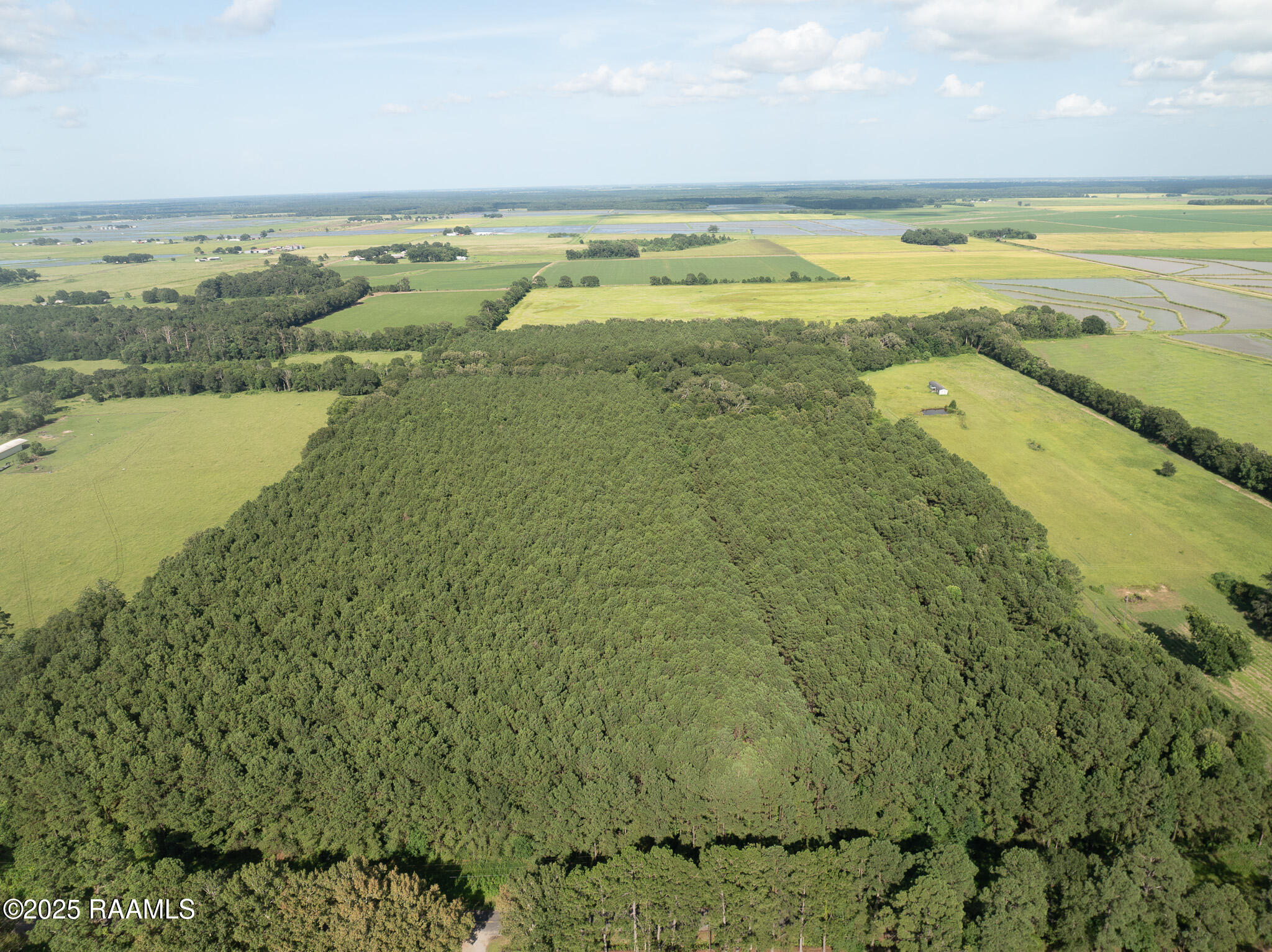 Tbd Jolene Road Basile, LA 70515 - Photo 27 of 28 DJI_0343