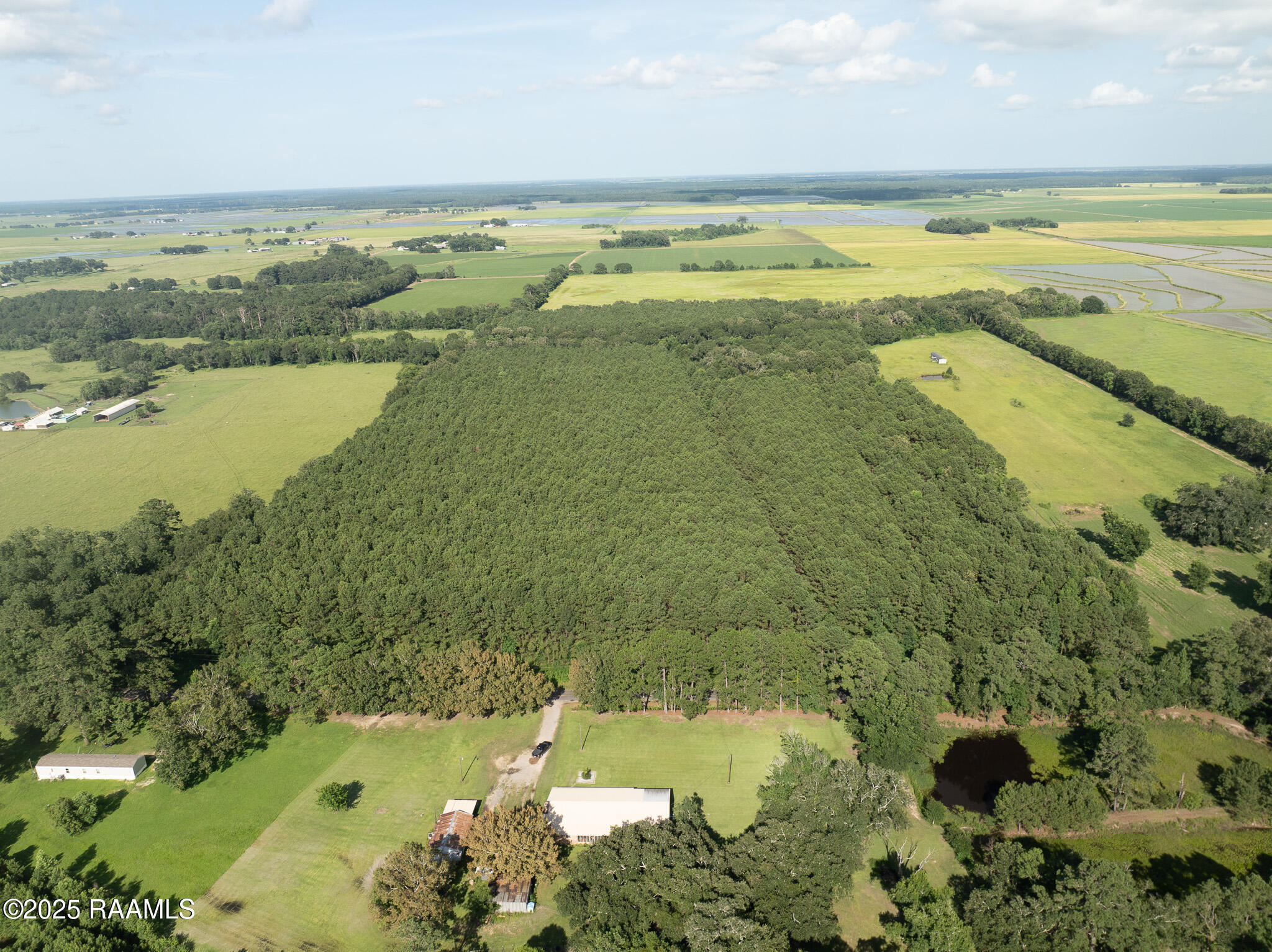 Tbd Jolene Road Basile, LA 70515 - Photo 28 of 28 DJI_0344