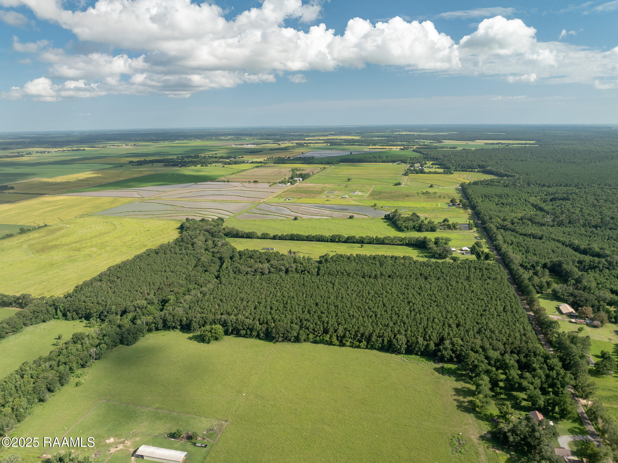 Tbd Jolene Road Basile, LA 70515 - Photo 8 of 28 DJI_0327