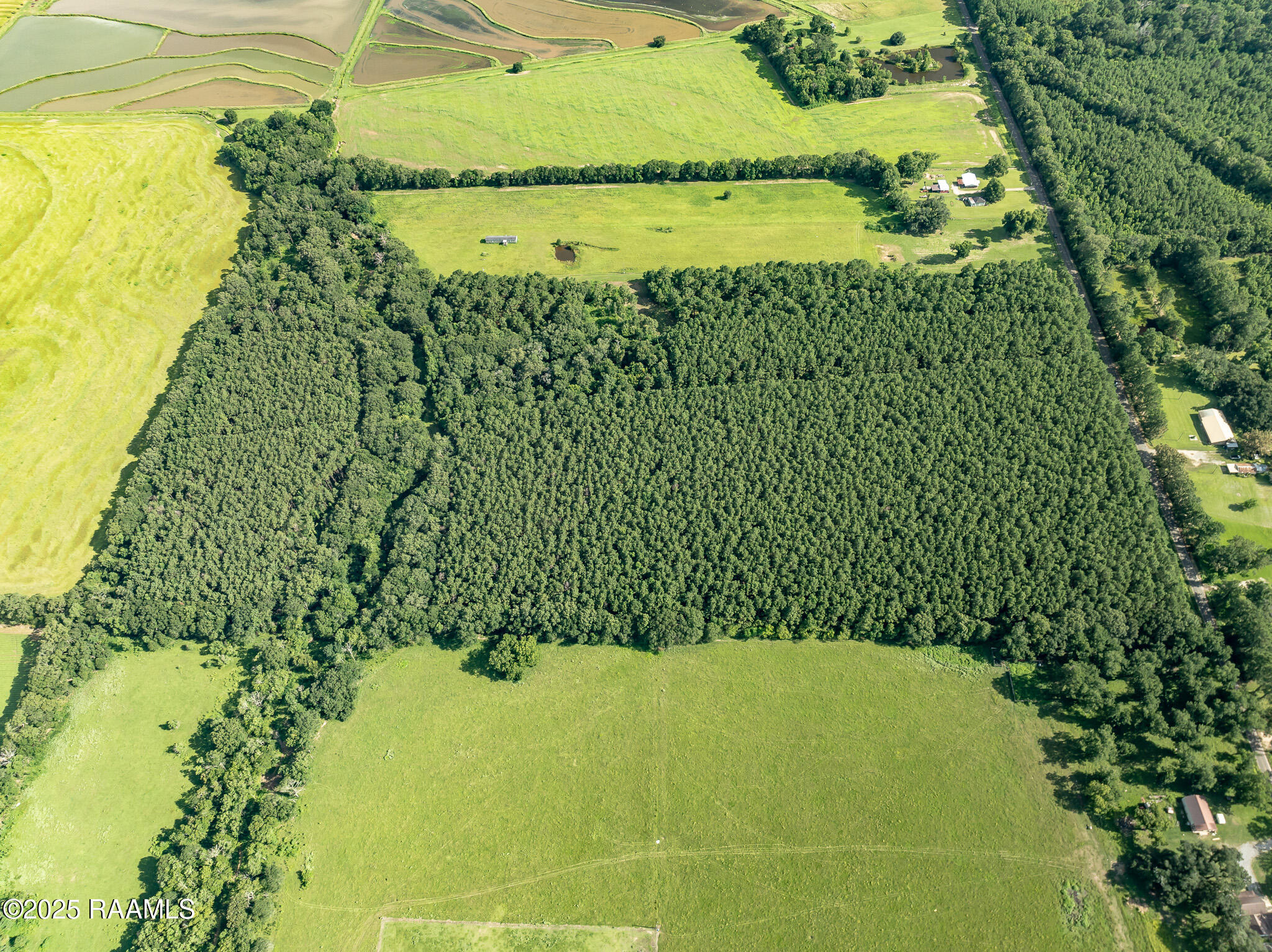 Tbd Jolene Road Basile, LA 70515 - Photo 10 of 28 DJI_0329