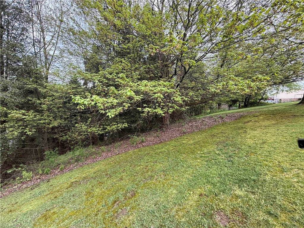790 Sunflower Street Irwin, PA 15642 - Photo 4 of 4 a view of a yard with plants and large trees