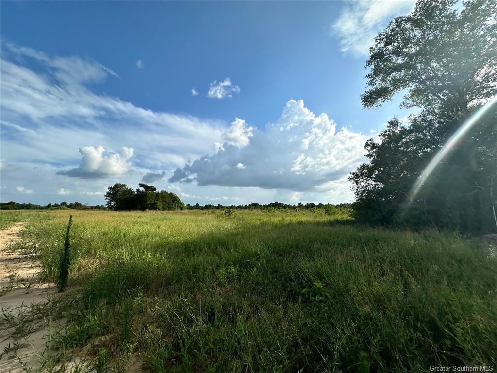 7021 River Road Iowa, LA 70647 - Photo 1 of 4