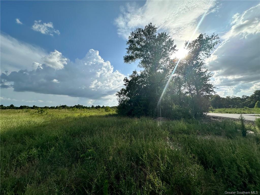 7021 River Road Iowa, LA 70647 - Photo 2 of 4