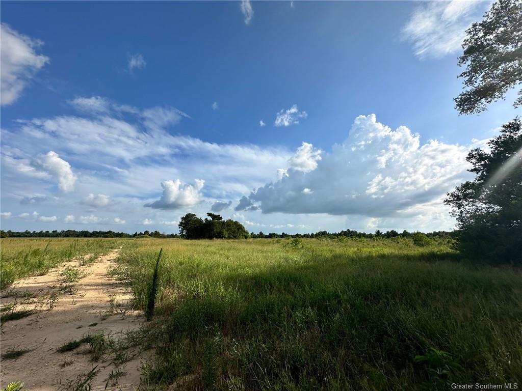 7021 River Road Iowa, LA 70647 - Photo 3 of 4