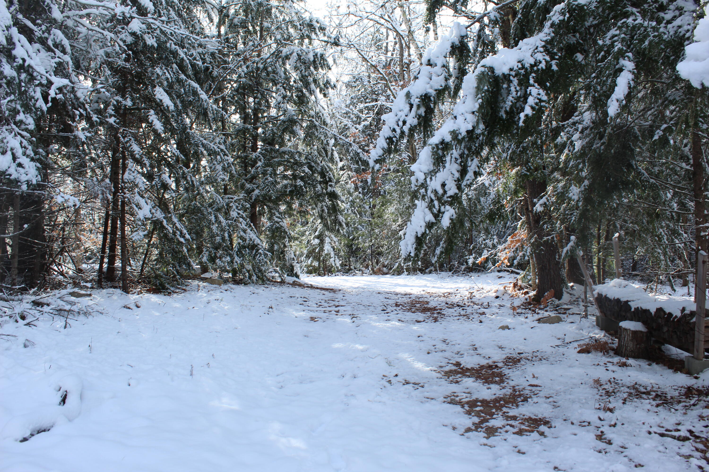 Lot #4 Harnden Road Denmark, ME 04022 - Photo 23 of 28 Entering the driveway