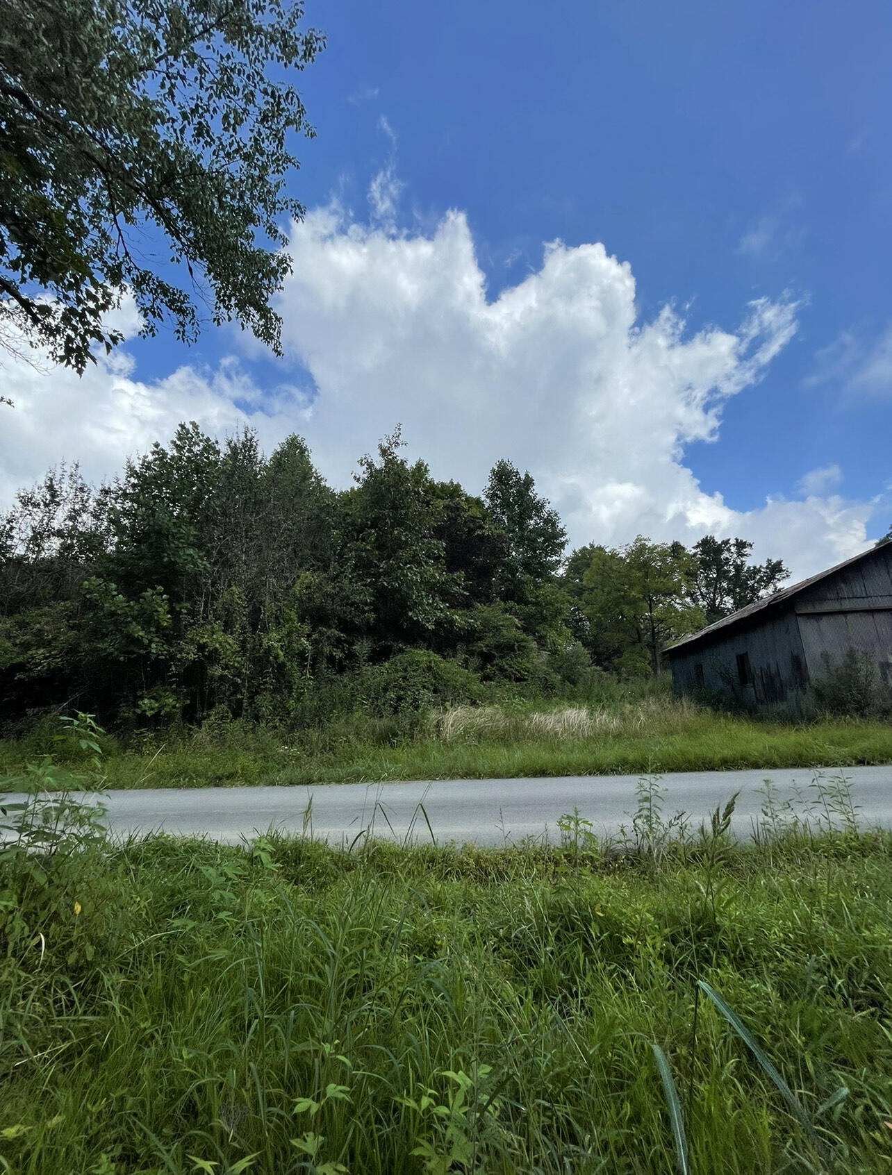 86 Eureka Road Zoe, KY 41397 - Photo 3 of 6 image_6487327 (11)
