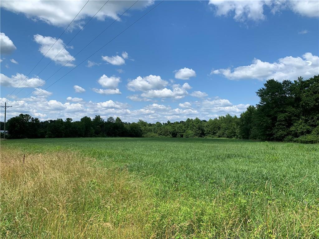 0 Alamance County Line Road Liberty, NC 27298 - Photo 2 of 7 Photo 2
