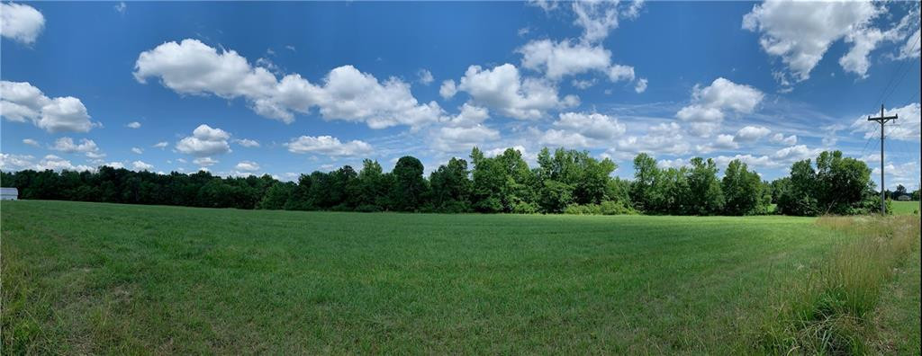 0 Alamance County Line Road Liberty, NC 27298 - Photo 6 of 7 Photo 6