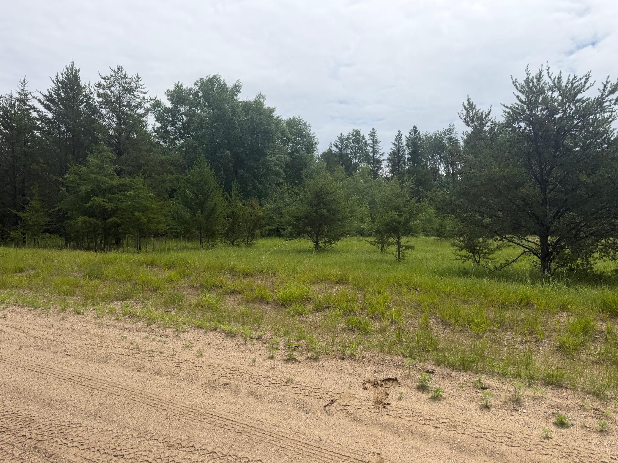 Tbd 350th Street Sebeka, MN 56477 - Photo 57 of 100