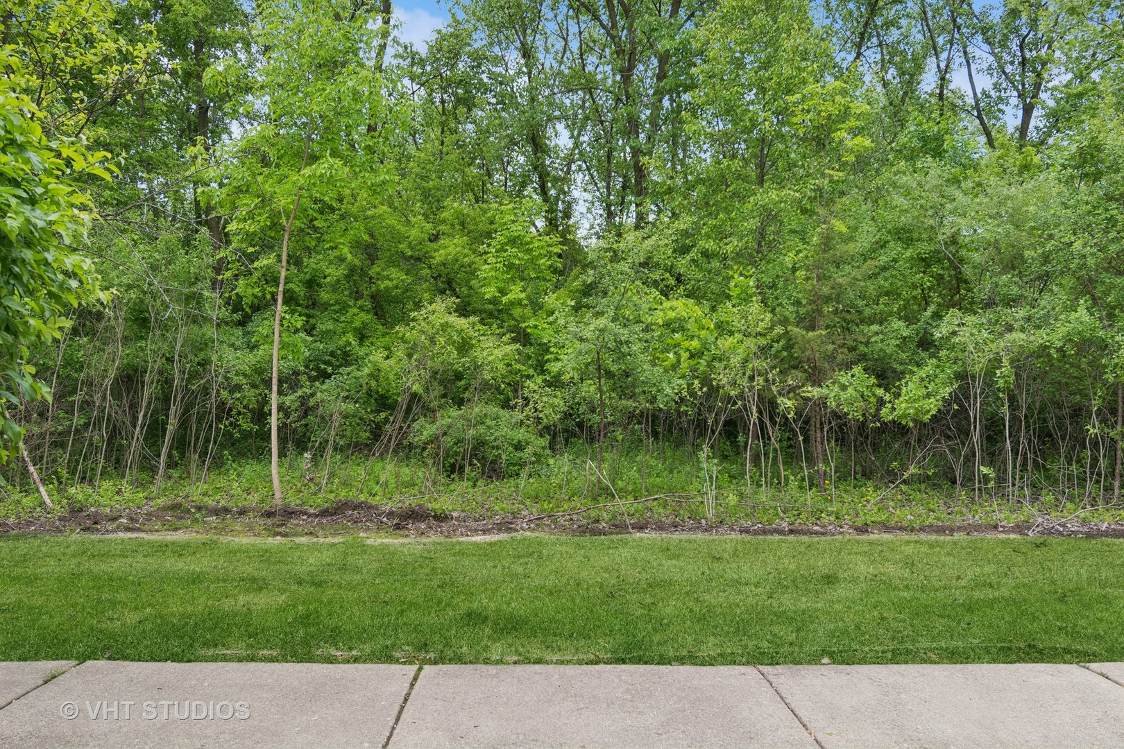 1504 McClure Road, Unit 1504 Aurora, IL 60505 - Photo 19 of 21 a view of a park with a tree