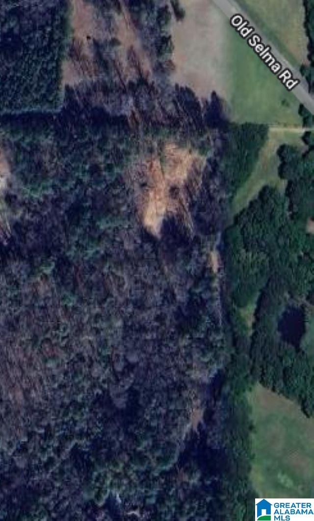 0 Cornelia Road Brierfield, AL 35035 - Photo 1 of 1