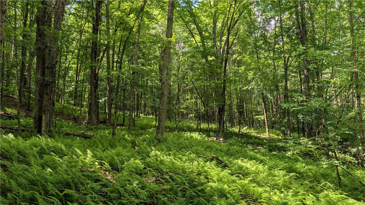 201 Sunrise Mountain Road Kortright, NY 13739 - Photo 37 of 49