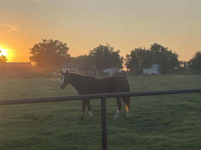 $925,000 | 13265 Farm To Market Road 1385, Pilot Point, TX 76258