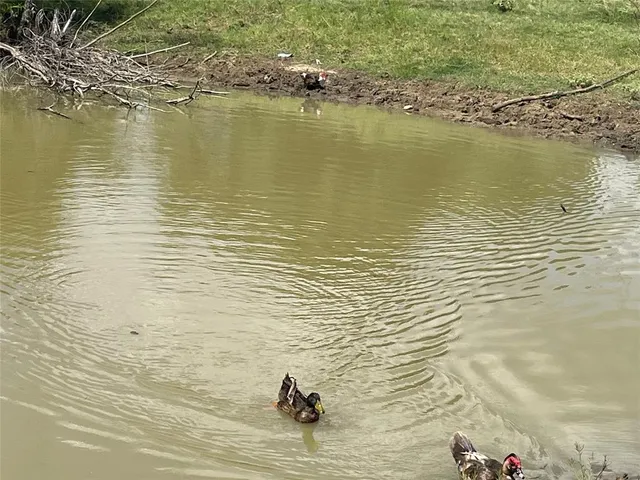 $925,000 | 13265 Farm To Market Road 1385, Pilot Point, TX 76258